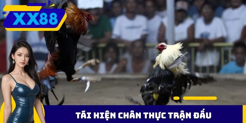 Tái hiện chân thực trận đấu